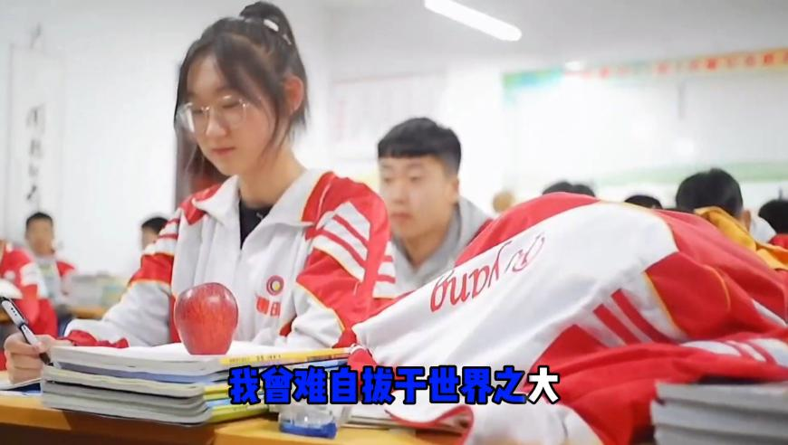 双胎孕妈一胎生在厕所一胎还在腹中,管家婆四肖四码精准资料,准确资料解释落实_定制版V9.60
