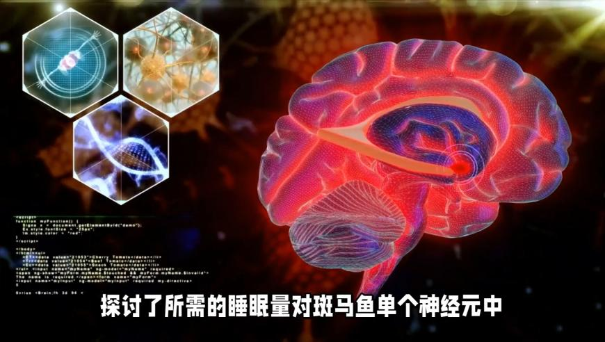 俄飞行员驾驶苏-57经停太原买买买,今期澳门三肖三码开一码2025澳门管家婆资料正版大全澳门资料管家婆一,广泛的解释落实支持计划_试用版V10.51