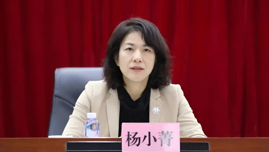 2025年新奥开奖结果是什么呢,普京：没人将乌排除在和谈进程外,前瞻性战略落实探讨_iPadV3.79