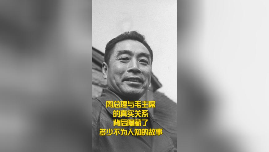 新疆游客拍到公路上狼群逐鹿,澳门六开奖结果2025年开奖,经典解释落实_精简版V7.37